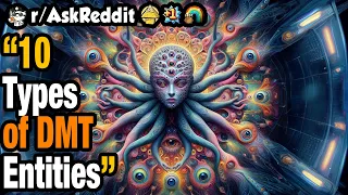 Types of DMT Entities Explained In Detail