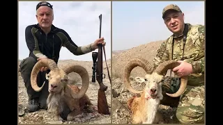 Blanford Urial hunt in Pakistan - Hunting for Conservation