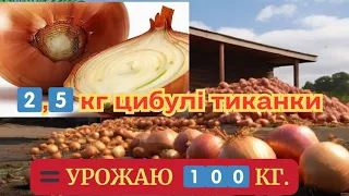 ВИРОСТИТИ ЦИБУЛЮ ЛЕГКО, ЯКЩО ТАК‼️ ЗРОБИТИ #цибуля @відео вирощування цибулі під соломою