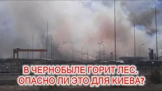 В Чернобыле горит лес. Опасно ли это для Киева?