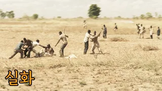 [실화] 기근에 약탈과 폭력이 난무하는 아프리카. 그곳에서 한 천재 소년이 일으킨 놀라운 기적 (영화리뷰 결말포함)