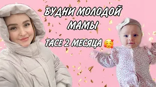 МАМСКИЕ БУДНИ | ТАСЕ 2 МЕСЯЦА | БОЛТАЮ | ГУЛЯЕМ