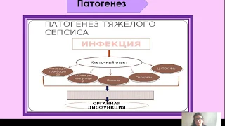 Конгресс молодых учёных 2020. Секция "Фундаментальные науки".