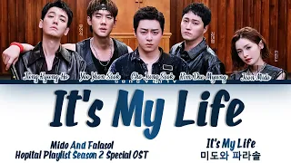 Mido And Falasol(미도와 파라솔) - It's My Life (Drama Ver)Hospital Playlist 2 (슬기로운 의사생활 시즌2)OST Lyrics/가사