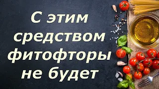 473  С этим средством фитофторы не будет