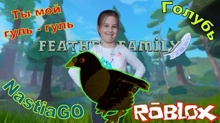 Cемья птиц роблокс голубь симулятор птицы обзор птички feather family roblox pigeon simulator bird