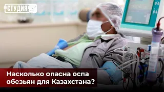 Оспа обезьян: так ли страшна новая пандемия?