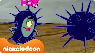SpongeBob | De Krokante Krab is overgenomen door ZEE-EGELS 😱 | Nickelodeon Nederlands