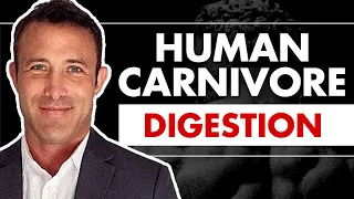 Human Carnivore Digestion