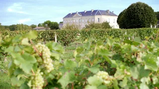 Braastad Cognac - Château de Triac