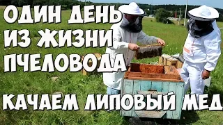 Один день из жизни пчеловодов любителей| Качаем липовый мёд