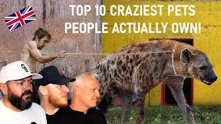 Top 10 CRAZIEST Pets People Actually Own! REACTION!! | OFFICE BLOKES REACT!!