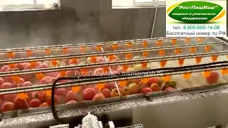 Машина мойки овощей и фруктов GB-2000 от РостПищМаш