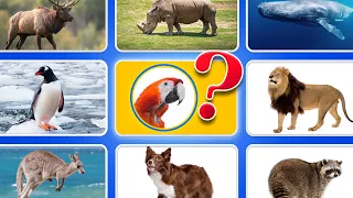 40 Animal Guessing Games | Guess The Animal For Kids | Ultimate Animal Guessing Quiz For Kids 🧠❓