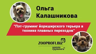 Мастер класс Пэт груминг йоркширского терьера. Ольга Калашникова. Стрижка йорка.