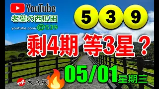 539今彩   🏆四期養牌，等三星🏆    2024/05/01(星期三)