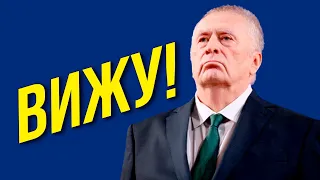 Выборы, выборы..! Жириновский предсказал будущее России!