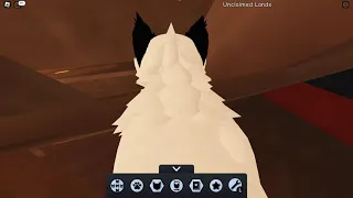 A Tour Of Warrior Cats Ultimate Edition (Roblox)