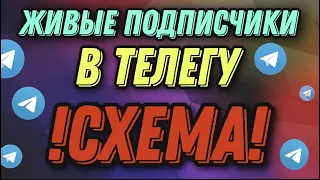 Как раскрутить телеграм канал и заработать