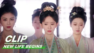 Yin An Takes His 24 Wives to the Doctor | New Life Begins EP16 | 卿卿日常 | iQIYI