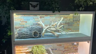 Reptile enclosure build