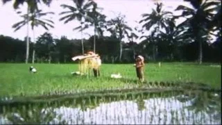 Jakarta and Bali in 1965, Tempo Doeloe, Indonesia