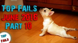 Лучшие приколы Июнь 2016 Часть 10 ||Top Fails||