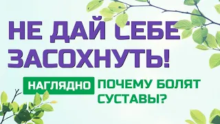 Лечение позвоночника и суставов: наглядный пример