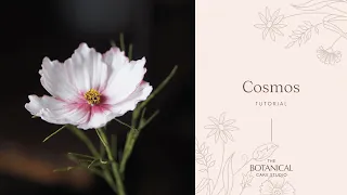 Cosmos Sugar Flower Tutorial (Gumpaste / Flower Paste)