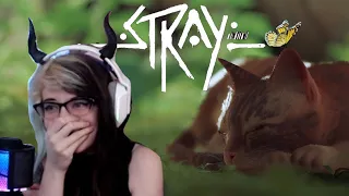 THE MOST ADORABLE GAME EVER! - Stray Part 1