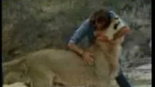 Christian the Lion Reunion As Seen on CNN