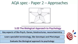 Biological Psychology - Approaches (5.03) Psychology AQA paper 2