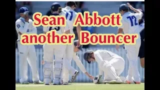 Phillip Hughes || Sean Abbott Bouncer to Will Pucovski || 2018 cover by Ali Tips Viral