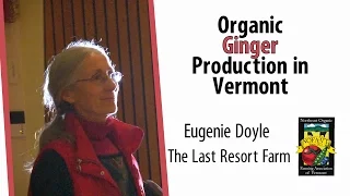 Organic Ginger Production in Vermont