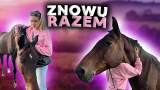 ODNALAZŁAM GASA 😱🐴 | Spotkanie po 10 latach…❤️