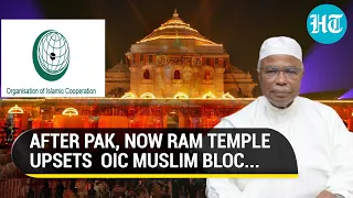 'Babri Masjid...': World Muslim Bloc Attacks India Over Ram Temple Construction | Details