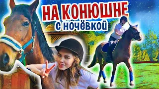 VLOG: 2 ДНЯ на КОНЮШНЕ с НОЧЕВКОЙ