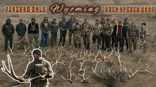 JACKSON HOLE WYOMING SHED HUNT OPENER 2024 | The year for the Wyoming residents!