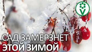 ВАШ САД  БЕЗ ЭТОГО ЗАМЕРЗНЕТ! Кому нужен влагозарядный полив?