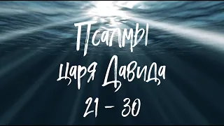 ПСАЛМЫ ЦАРЯ ДАВИДА. Псалмы 21 - 30. Аудиокнига. Читает Ицик Смагин