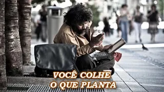 VOCÊ COLHE O QUE PLANTA (UMA LINDA REFLEXÃO DE VIDA) veja!!! #motivação #reflexão #foco