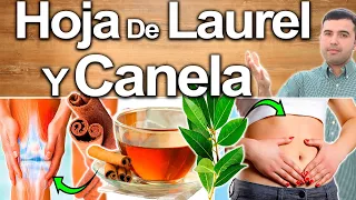 Té De Canela Y Hoja  De Laurel Para Todo! - Para Qué Sirve? - Beneficios Para Tu Salud Y Belleza