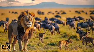 Our Planet | 4K African Wildlife - Great Migration from the Serengeti to the Maasai Mara, Kenya #27