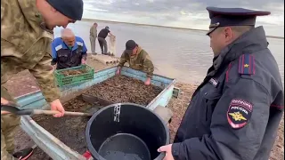 В Ясненском городском округе Оренбургской области полицейские пресекли незаконный вылов раков