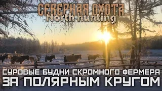 Суровые будни скромного фермера, за полярным кругом. СЕВЕРНАЯ ОХОТА - NORTH HUNTING