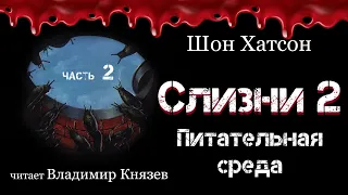 Аудиокнига: Шон Хатсон "Слизни 2: Питательная среда"(часть 2). Читает Владимир Князев. Ужасы, хоррор