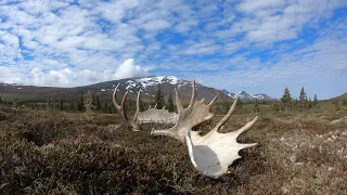 Shed hunt ALASKA
