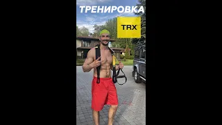 TRX Тренировка Upper Body (верхняя часть тела)