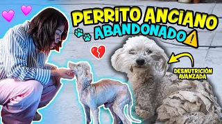 RESCATO A PERRITO ANCIANO ABANDONADO 💔 Estaba en DESNUTRICIÓN AVANZADA 😭 | CONNY MERLIN