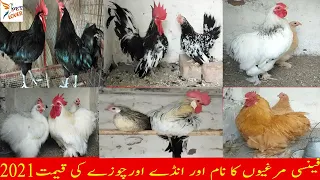 Fancy Hens Business Plan & Price || Fancy Hen Name With Price in 2021